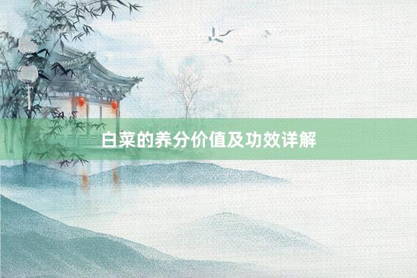 白菜的养分价值及功效详解