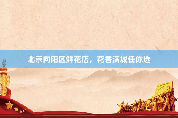 北京向阳区鲜花店，花香满城任你选