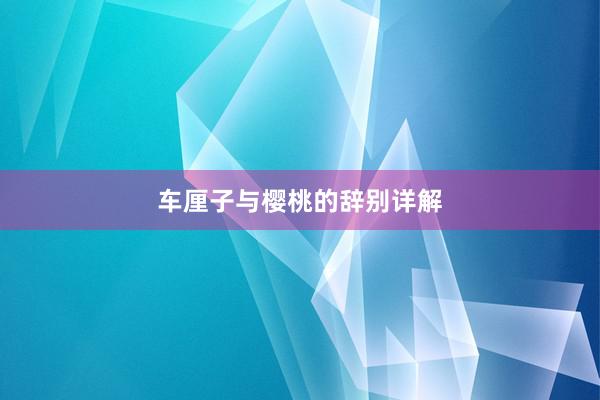 车厘子与樱桃的辞别详解