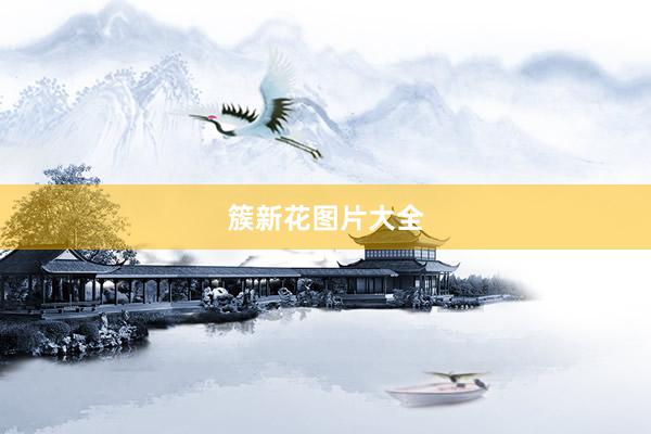 簇新花图片大全